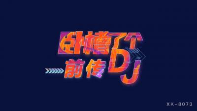 卧槽了个DJ3前传许诺XK8073